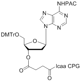 deoxy Adenosine (n-PAC) 3'-lcaa CPG 500Å