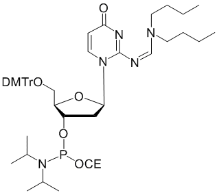 deoxy isoCytidine CED phosphoramidite