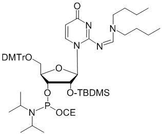IsoCytidine CED phosphoramidite